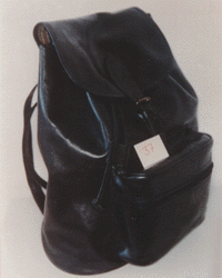 Travel Bags